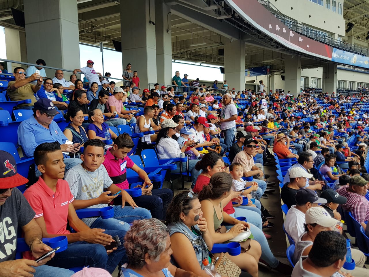 estadio